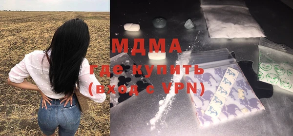 индика Саяногорск